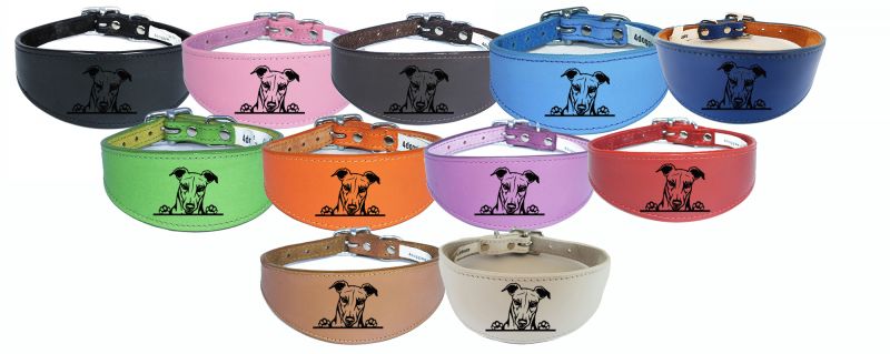 Sighthound Whippet Greyhound Collar Padded Backing Laser Engraved D44
